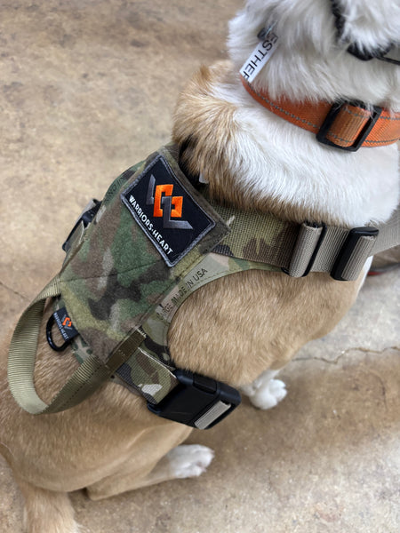 K9 Vest - Large